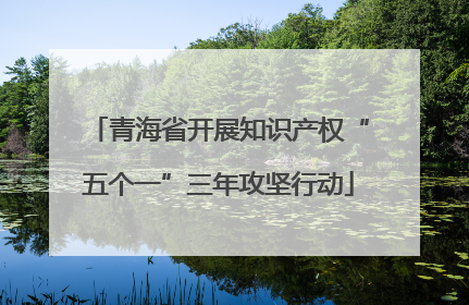 青海省开展知识产权“五个一”三年攻坚行动