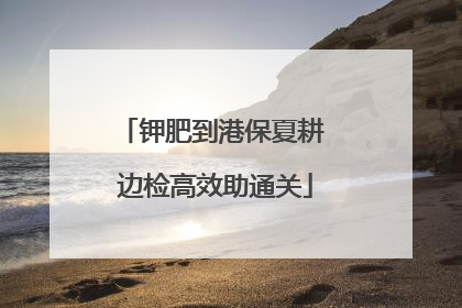 钾肥到港保夏耕 边检高效助通关