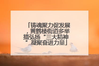 铸魂聚力促发展，黄鹤楼街道多举措弘扬“三大精神”凝聚奋进力量