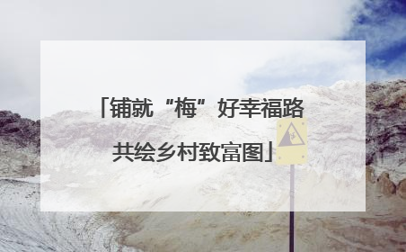 铺就“梅”好幸福路 共绘乡村致富图
