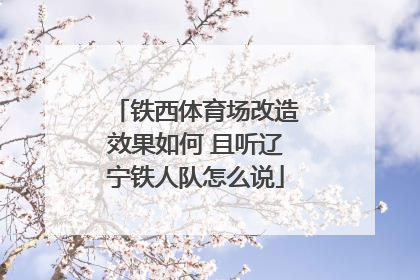 铁西体育场改造效果如何 且听辽宁铁人队怎么说