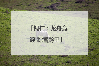 铜仁：龙舟竞渡 粽香黔里