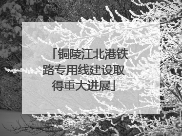 铜陵江北港铁路专用线建设取得重大进展