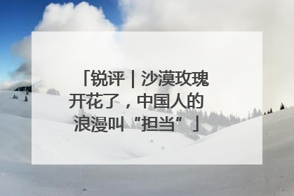锐评｜沙漠玫瑰开花了，中国人的浪漫叫“担当”