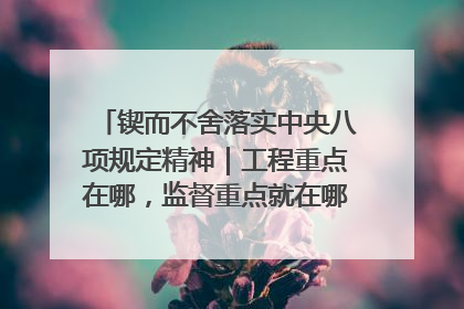 锲而不舍落实中央八项规定精神｜工程重点在哪，监督重点就在哪——广西深化政治监督护航平陆运河建设