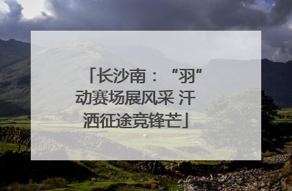 长沙南：“羽”动赛场展风采 汗洒征途竞锋芒