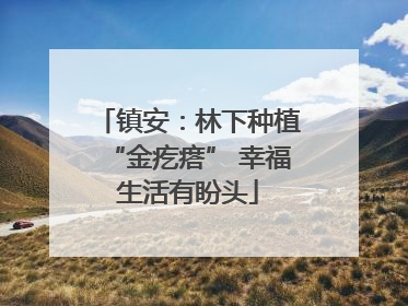 镇安：林下种植“金疙瘩” 幸福生活有盼头