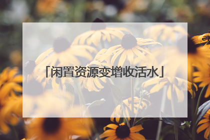 闲置资源变增收活水