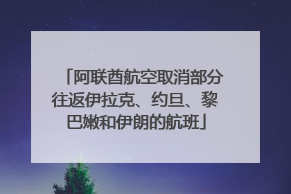 阿联酋航空取消部分往返伊拉克、约旦、黎巴嫩和伊朗的航班