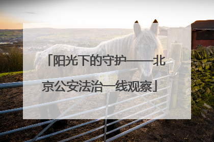 阳光下的守护——北京公安法治一线观察