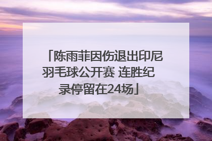 陈雨菲因伤退出印尼羽毛球公开赛 连胜纪录停留在24场