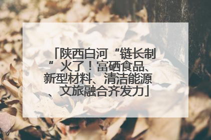 陕西白河“链长制”火了！富硒食品、新型材料、清洁能源、文旅融合齐发力