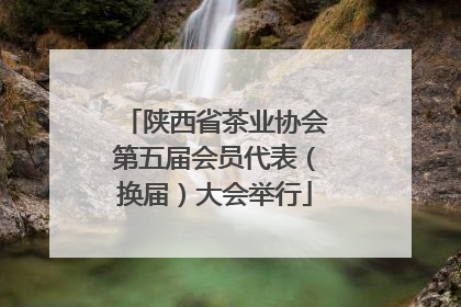 陕西省茶业协会第五届会员代表（换届）大会举行
