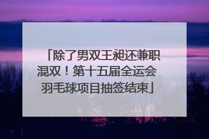 除了男双王昶还兼职混双！第十五届全运会羽毛球项目抽签结束
