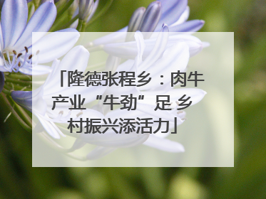 隆德张程乡：肉牛产业“牛劲”足 乡村振兴添活力
