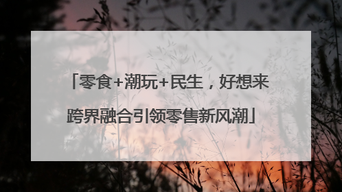 零食+潮玩+民生，好想来跨界融合引领零售新风潮