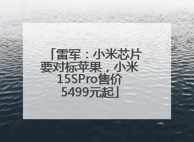 雷军：小米芯片要对标苹果，小米15SPro售价5499元起