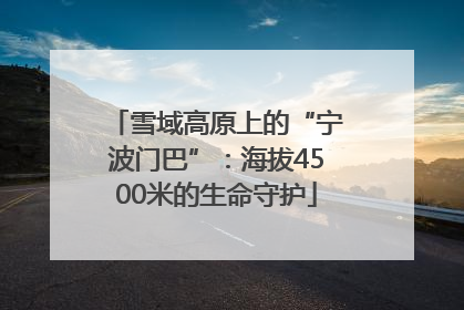 雪域高原上的“宁波门巴”：海拔4500米的生命守护