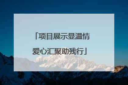 项目展示显温情 爱心汇聚助残行