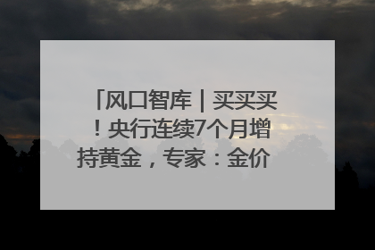 风口智库｜买买买！央行连续7个月增持黄金，专家：金价或仍易涨难跌