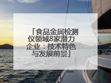 食品金属检测仪领域8家潜力企业：技术特色与发展前景
