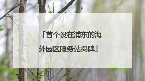 首个设在浦东的海外园区服务站揭牌
