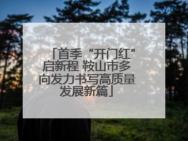 首季“开门红”启新程 鞍山市多向发力书写高质量发展新篇