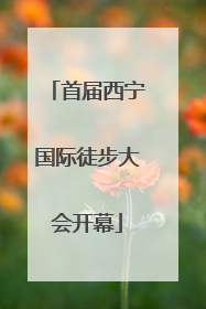 首届西宁国际徒步大会开幕