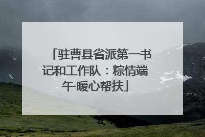 驻曹县省派第一书记和工作队：粽情端午·暖心帮扶