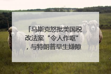 马斯克怒批美国税改法案“令人作呕”，与特朗普早生嫌隙？｜国际识局