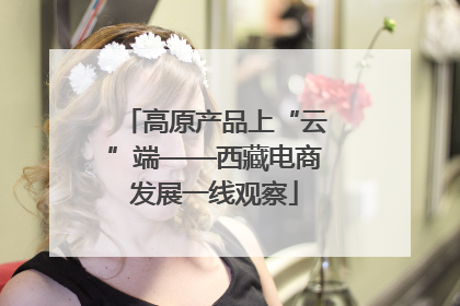 高原产品上“云”端——西藏电商发展一线观察