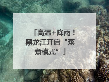 高温+降雨！黑龙江开启“蒸煮模式”