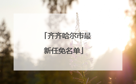 齐齐哈尔市最新任免名单