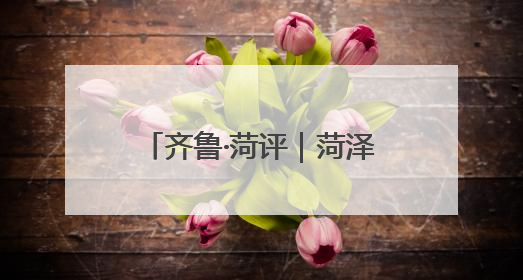 齐鲁·菏评｜菏泽以展会经济为城市发展增添新活力