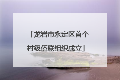 龙岩市永定区首个村级侨联组织成立