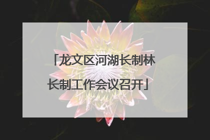 龙文区河湖长制林长制工作会议召开