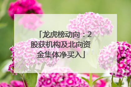 龙虎榜动向：2股获机构及北向资金集体净买入
