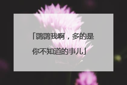 鹮鹮我啊，多的是你不知道的事儿