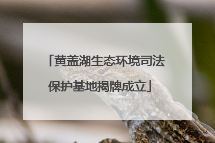 黄盖湖生态环境司法保护基地揭牌成立