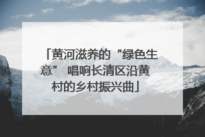 黄河滋养的“绿色生意” 唱响长清区沿黄村的乡村振兴曲