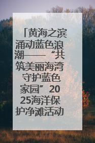 黄海之滨涌动蓝色浪潮——“共筑美丽海湾 守护蓝色家园”2025海洋保护净滩活动暨“美丽江苏—江河湖海青蓝行”海洋篇在连云港举行