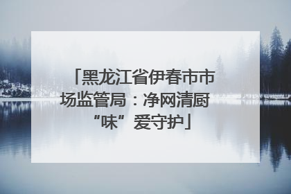 黑龙江省伊春市市场监管局：净网清厨 “味”爱守护