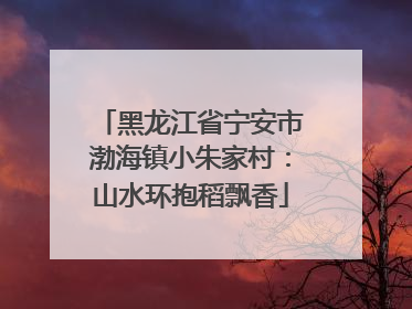 黑龙江省宁安市渤海镇小朱家村：山水环抱稻飘香