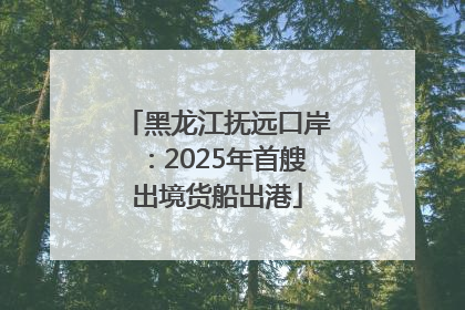 黑龙江抚远口岸：2025年首艘出境货船出港