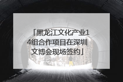 黑龙江文化产业14组合作项目在深圳文博会现场签约