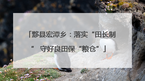 黟县宏潭乡：落实“田长制” 守好良田保“粮仓”