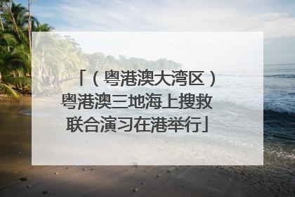 （粤港澳大湾区）粤港澳三地海上搜救联合演习在港举行