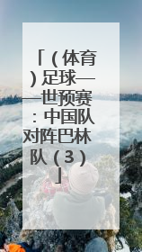 （体育）足球——世预赛：中国队对阵巴林队（3）