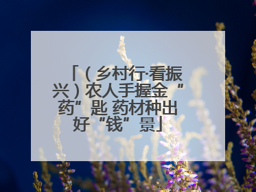 （乡村行·看振兴）农人手握金“药”匙 药材种出好“钱”景