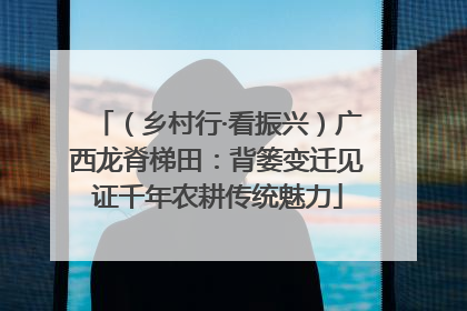 （乡村行·看振兴）广西龙脊梯田：背篓变迁见证千年农耕传统魅力